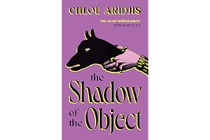 The Shadow of the Object