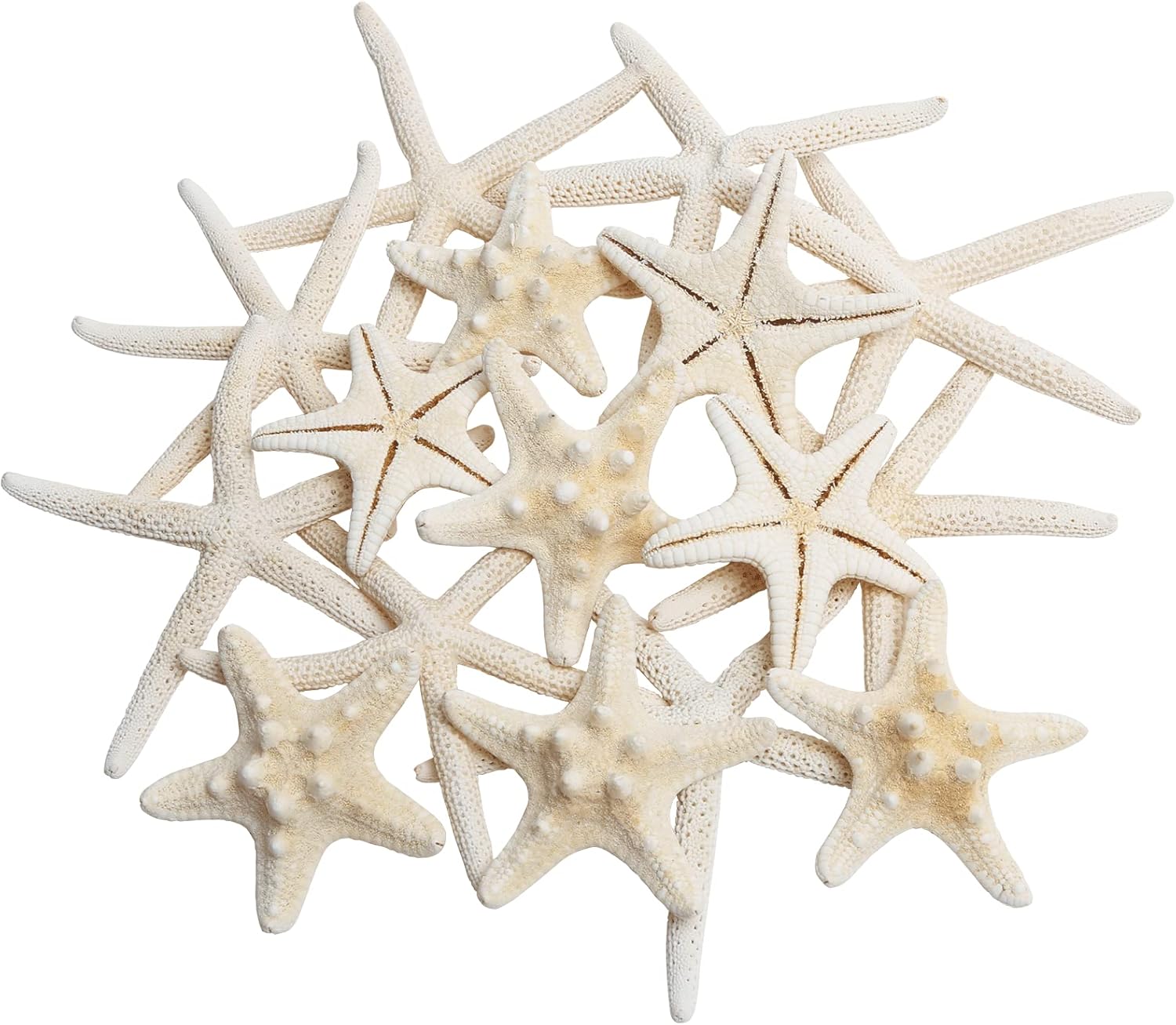 Vase Fillers - 16pcs Natural Starfish for Crafts, 1.2-2.7 Inch Bulk Star Fish Shells Ornaments for Decor, Flat Sea Stars for Wedding Decoration