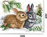 YANCONGLIDEYAN Cross Stitch Kit 11CT Stamped Beginners Pre-Printed Rabbits view 2