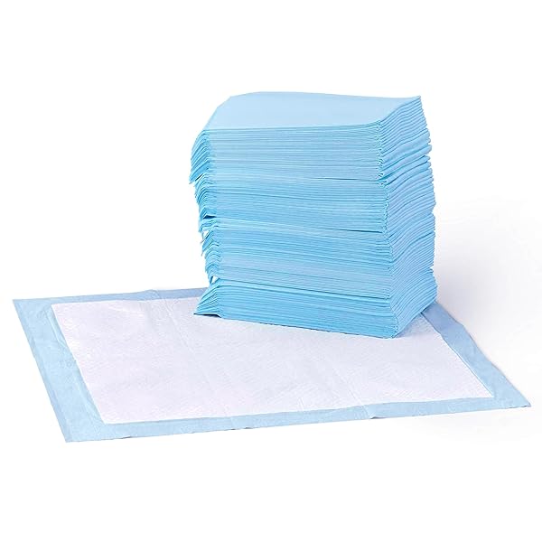 AMAZON BASICS ABSORBENT, LEAK-PROOF DOG AND PUPPY PEE PADS WITH 5-LAYER DESIGN AND QUICK-DRY SURFACE FOR POTTY TRAINING, STANDARD ABSORBENCY, REGULAR SIZE, 22 X 22 INCH – PACK OF 50, BLUE & WHITE