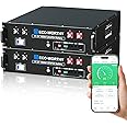 ECO-WORTHY 48V 200Ah LiFePO4 Lithium Battery (2 Pack 48V 100AH), 10.24kWh Capacity, Server Rack Battery with Bluetooth, 6000 Deep Cycles, 3U Chassis, Ideal for Off-Grid, Solar, Energy Back-up