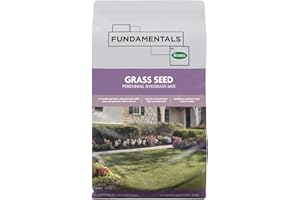 Fundamentals by Scotts Grass Seed Perennial Ryegrass Mix, Ideal for Sunny, High Traffic Areas and Erosion Control, 3 lbs.
