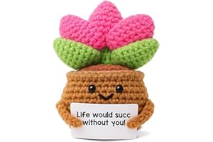 WEZADUK Positive Emotional Support Crochet Plants, Funny Succulent Gifts for Women Men Plant Lovers, Birthday Gift Ideas, Mini Handmade Crochet Succulent Decor