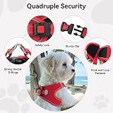 Joytale Step in Dog Harness Soft Mesh Reflective Breathable Vest L Red view 6