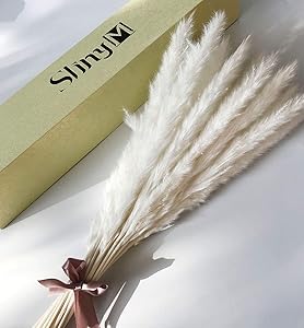 Natural Dried Pampas Grass Small Pampas Grass Artificial Reed Grass Plume Wedding White Flower Bunch for Home Kitchen Garden Party Photographing Arrangement Vase Decor45CM (White) (Brown)