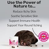 NutriPaw All-Itch Immunity Treats for Dogs – Soothe Paws Eyes Ears Skin view 3