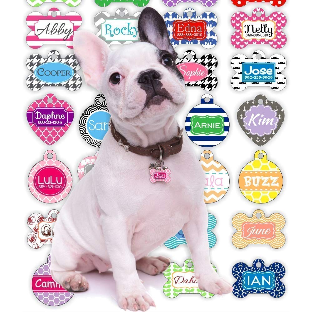 design your own pet tag
