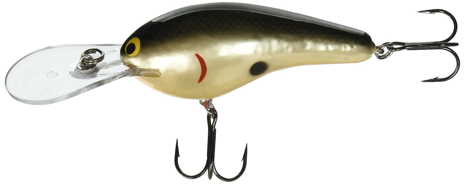 55 以上節約 Bagley Diving B純正バルサ材釣り餌 B00b2lmmc0 3 Inch Tennessee Shad Orange Tennessee Shad Orange 3 Inch 超目玉 Www Kigaliprepcenter Com