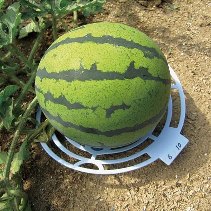 JYCRA Soporte de plástico para Plantas de melón, Soporte de ...