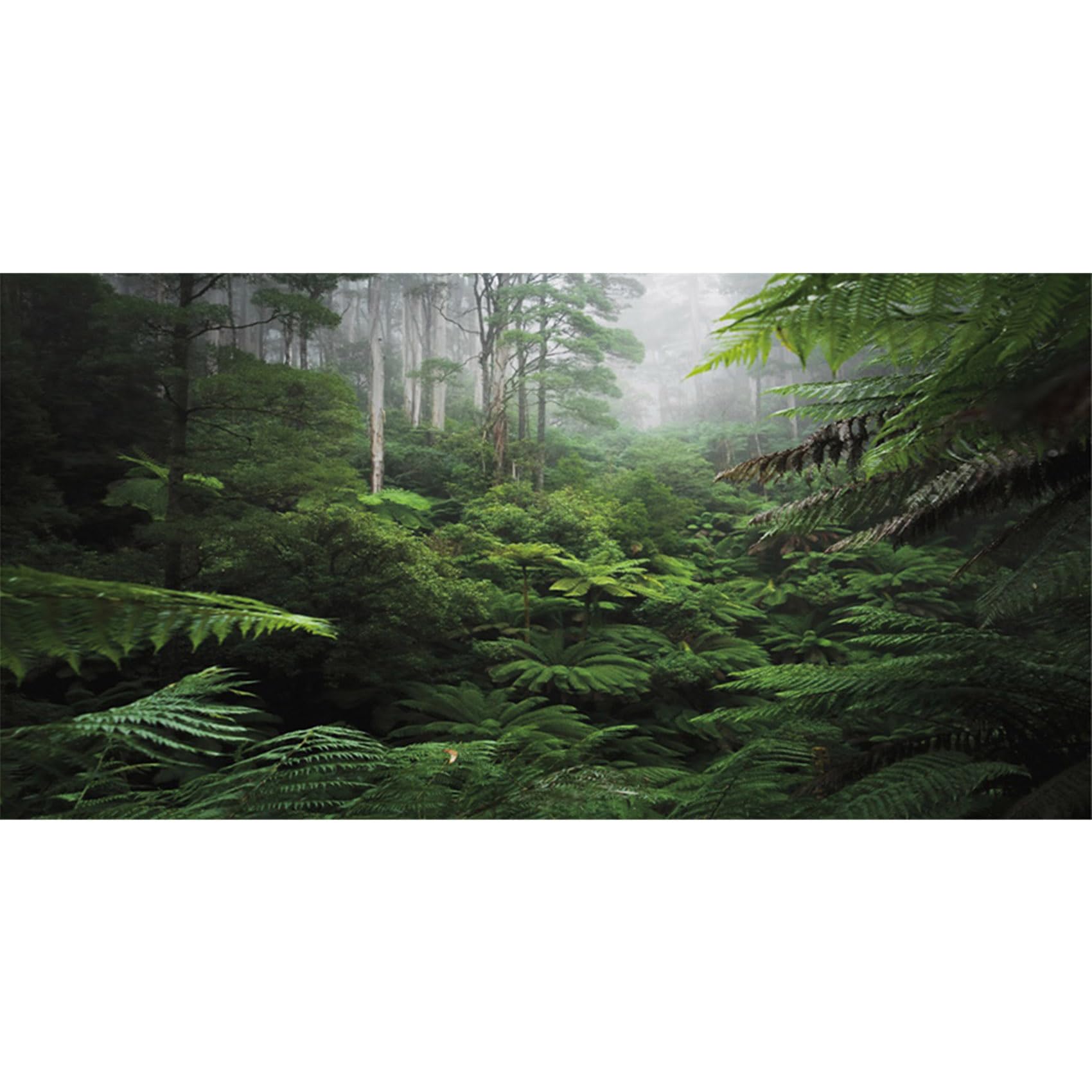 MIRRORANG 91x50cm Foggy Forest Terrarium Background Green Tree Reptile Habitat Background Tropical Rainforest Aquarium Background Durable Vinyl Background