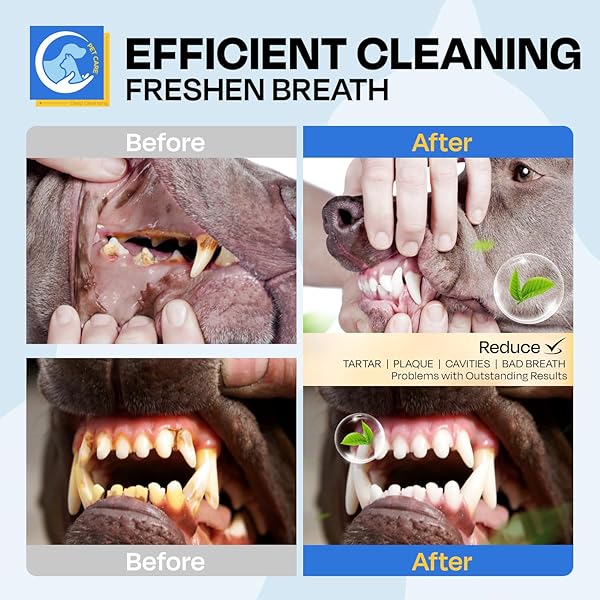 PUPMATE DENTAL CARE WIPES FOR DOG & CAT- TEETH CLEANING FINGER WIPES FOR PLAQUE AND TARTAR REMOVAL, SAFE & GENTLE DISPOSABLE TOOTHBRUSH WIPES FOR FRESH BREATH & GUM CARE – 50 PCS