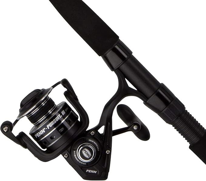 penn fierce 3 6000 combo