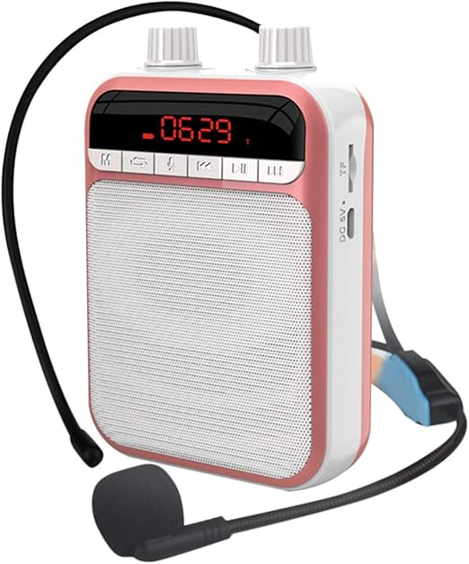 personal mic and speaker