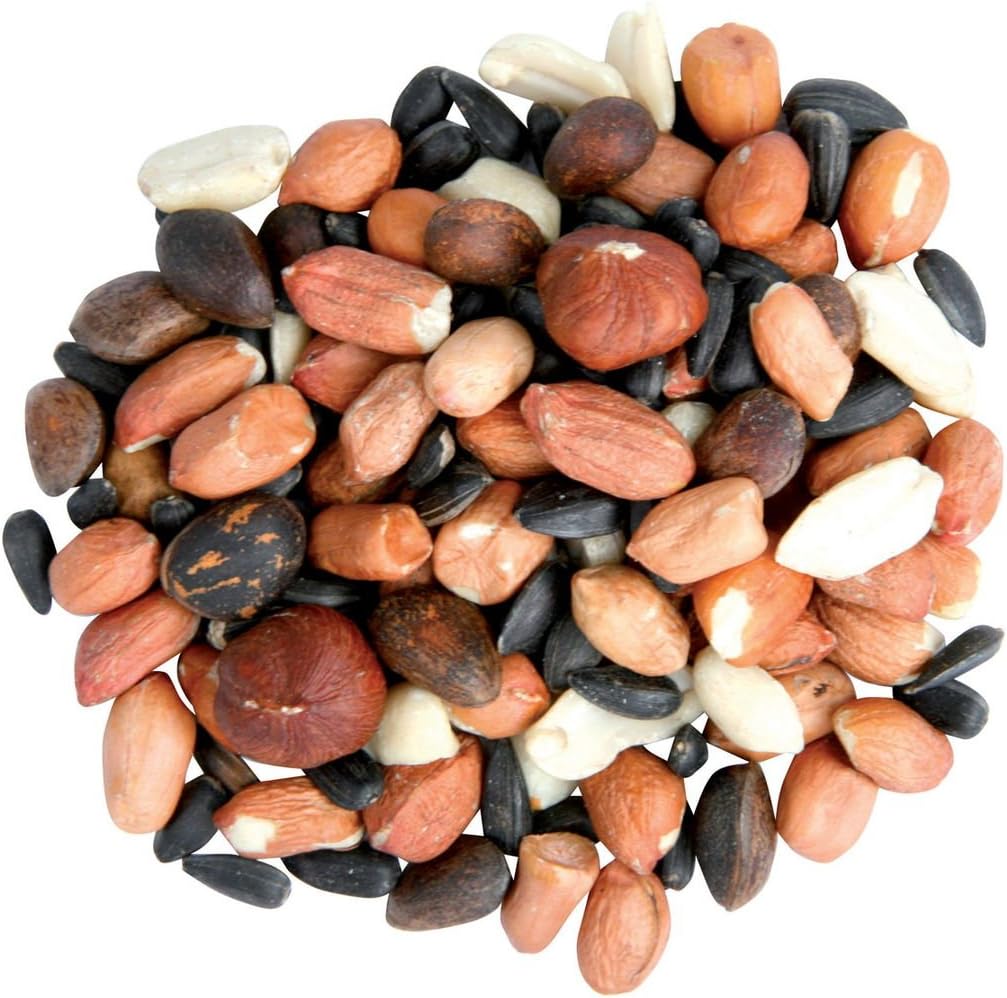 Wildlife Food CJ Squirrel Food Mix 1.5 Ltr by C J Wild bird Food