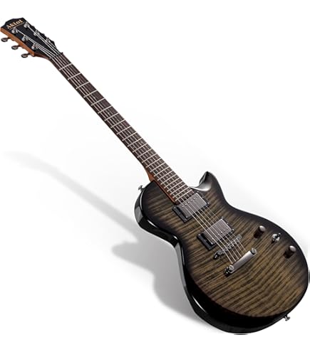 Amazon.com: Washburn USA Custom Shop 6 String Solid-Body Electric