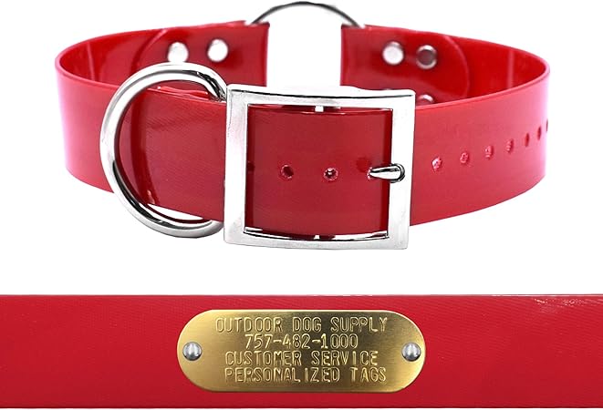 dog hunting collars with nameplates