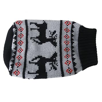 dog black turtleneck