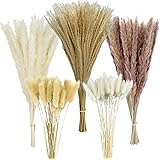 120 Pcs Pampas Grass 18" Tall Dried Pompous Grass Boho Decor Flower Arrangement - 15Pcs White Pampas & 15Pcs Brown Pampas & 5