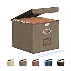 Oterri File Organizer Box,File Box,Small File
