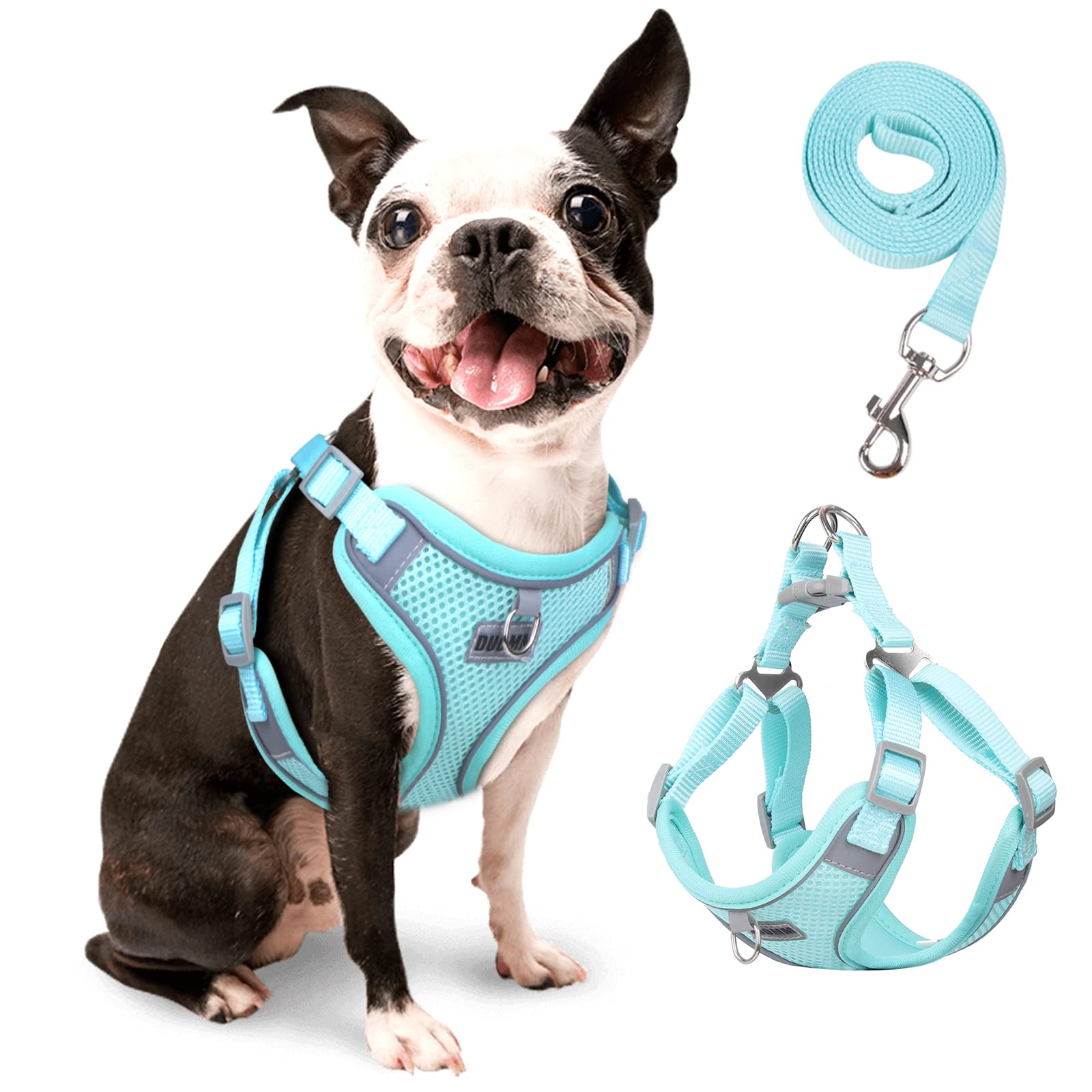 Rennaio Dog Harness No Pull, Adjustable, Lightweight, Reflective, Medium, Cyan