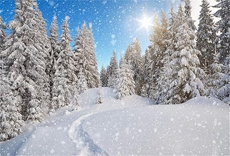 Amazon Lfeey 6x4フィート 冬 雪の結晶 背景 雪 風景 写真 背景 森 松 木 雪 覆われた サミ 山 スキー 雪場 日光 クリスマス ホリデー 旅行 新年 スタジオ ビニール 小道具 バックペーパー 背景布 通販