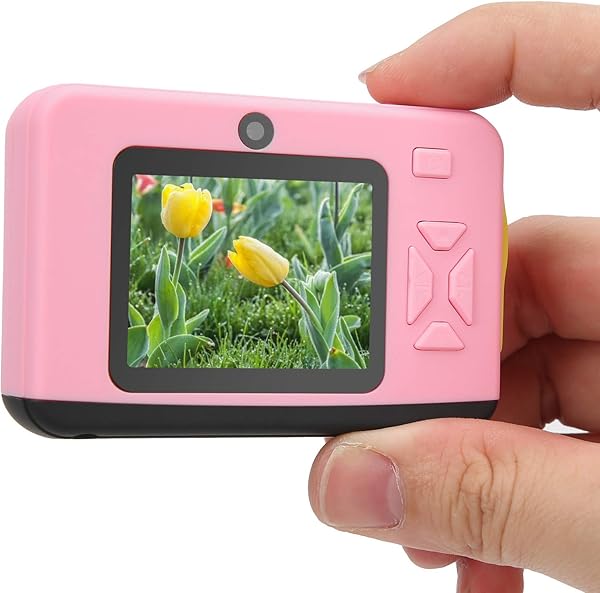 FECAMOS Kids Digital Camera2 Inch Screen Colorful IPS Display Multi Functional Video Camera Cute Cartoon Digital Video Camera Kids for Childrenpink