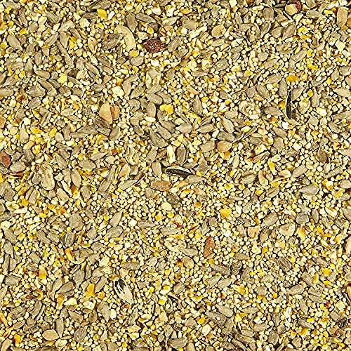 Kaytee Waste Free Bird Seed Blend, 5Pound (2 Pack) Pricepulse