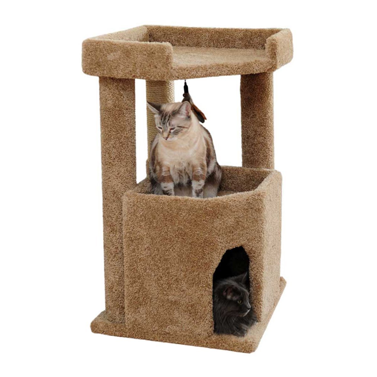 Best 4 tier cat furniture carpeted