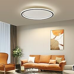 19.68 Inch Flush Mount Ceiling Light, 40-60W Round