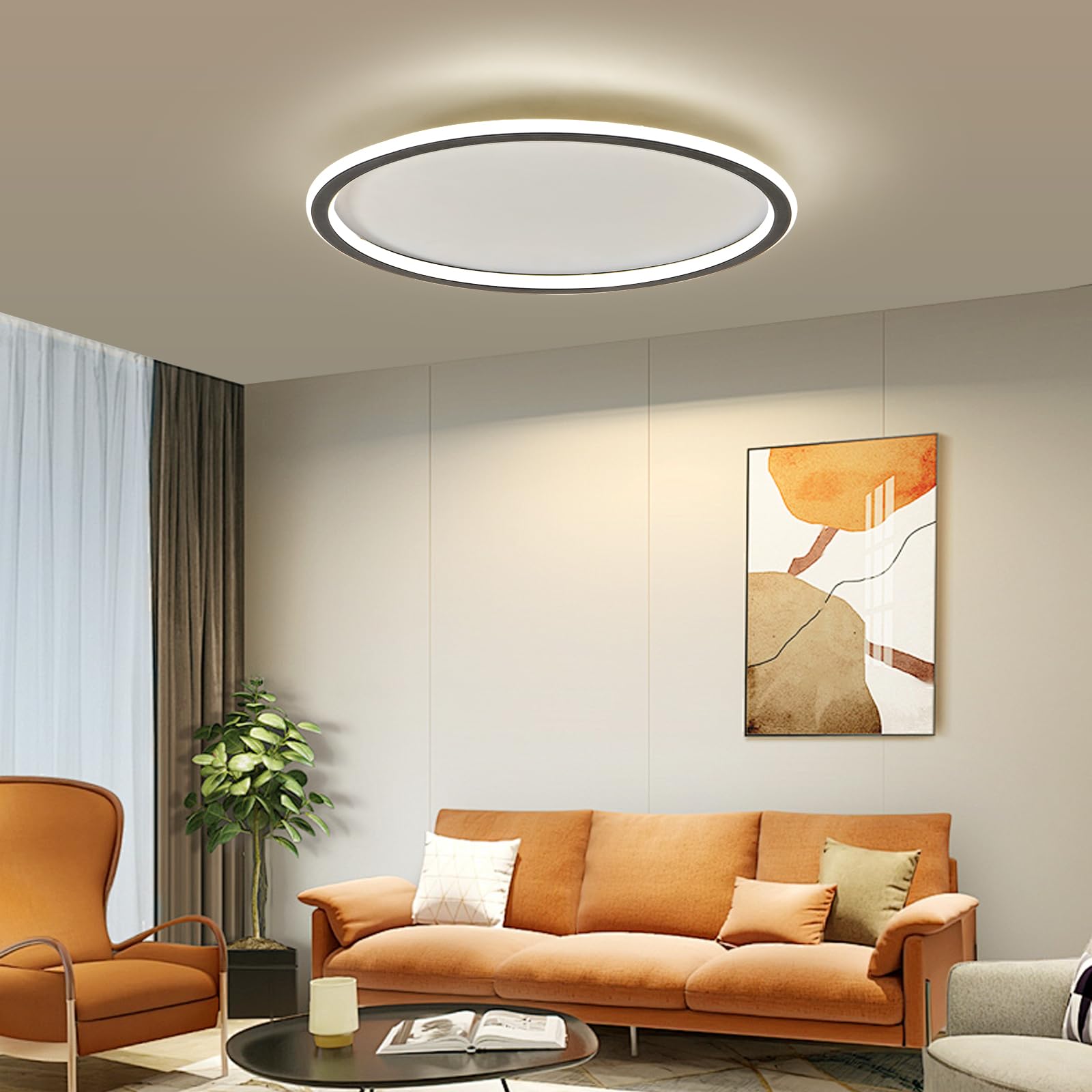 19.68 Inch Flush Mount Ceiling Light, 40-60W Round