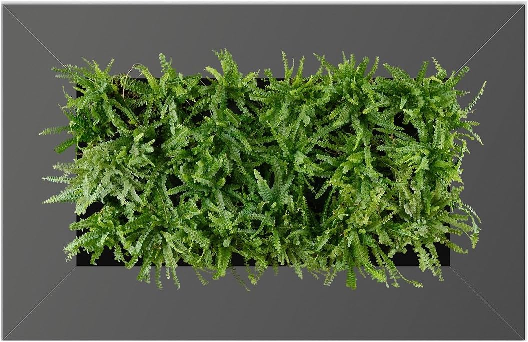 Gardening On Walls-LivePicture II - Vertical Living Wall Planter (Charcoal)