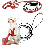 bird leash petsmart