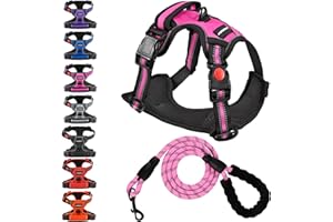 Juqiboom No Pull Dog Harness, Adjustable Soft Padded Dog Vest, Reflective No-Choke Pet Oxford Vest with Easy Control Handle and Dog Leash for Dogs (Pink, Large)