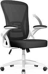 naspaluro Office Desk Chair High Back Ergonomic Mesh Chair with Adjustable