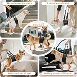 BRO Medium Dog Mobility Aids Support Sling for Hind Legs Lift Harness view 4