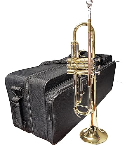 Amazon.com: Bach 180S37 Stradivarius Series Bb Trumpet Silver