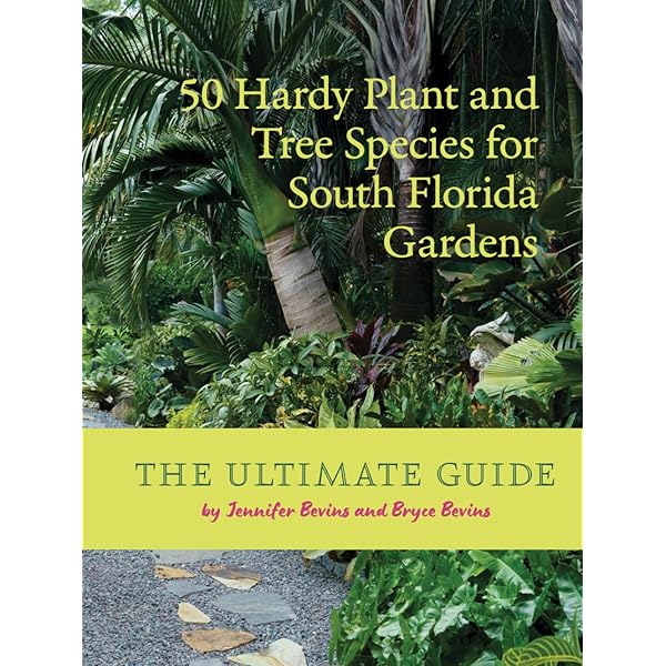 洋書 Jeffrey Whiting's Owls of North America Amazon.com: Jeffrey