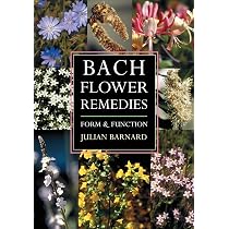 Bach Flower Remedies: Form and Function | Amazon.com.br