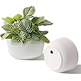 T4U 10 Inch Self Watering Pots for Indoor Plants, Plastic Plant Pots with Drainage Hole, Large Flower Pots for Indoor Outdoor Plants Cactus, Garden, Set of 2, White