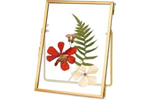 REDHUGO Glass Pressed Flower Frame Handmade, Floating Picture Frames for Pressed Flowers, Tabletop Artwork Photo Frames, Brass Desk Picture Frame for Home Office Plant Specimen, Gold, 4x6 Inches