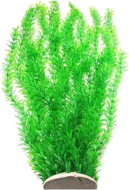 extra large plastic fish tank