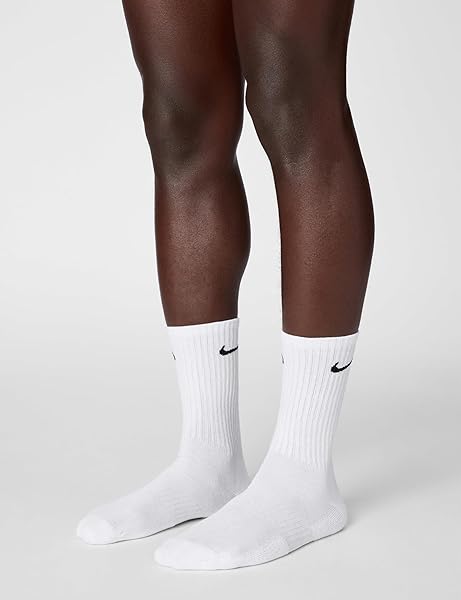 NIKE UNISEX ADULT EVERYDAY CUSHIONED SOCK, WHITE/BLACK, X-LARGE US