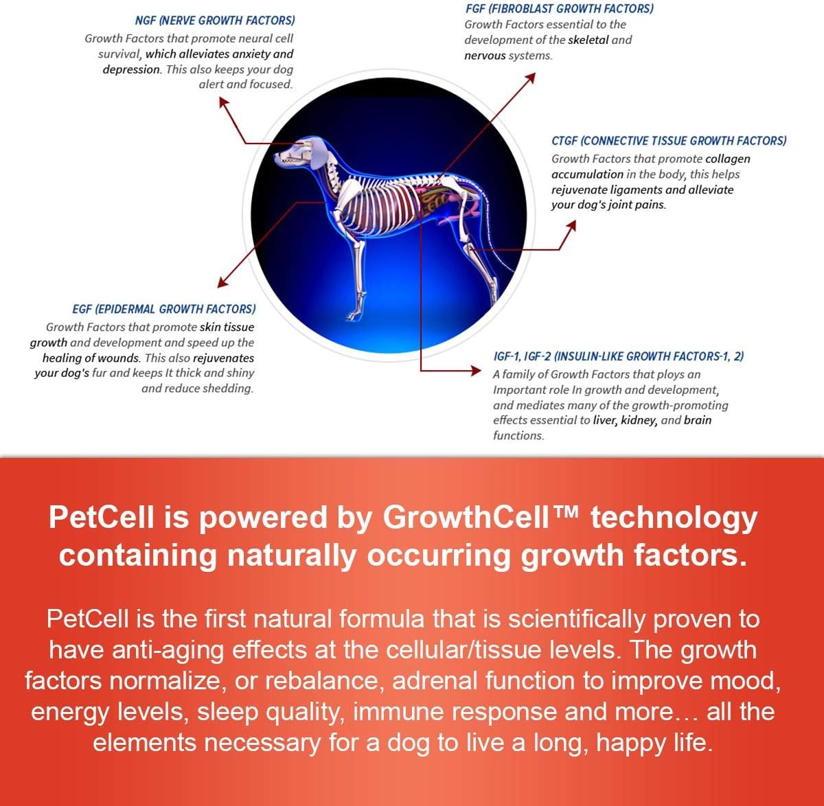 Diabetes Insipidus In Dogs Natural Treatment