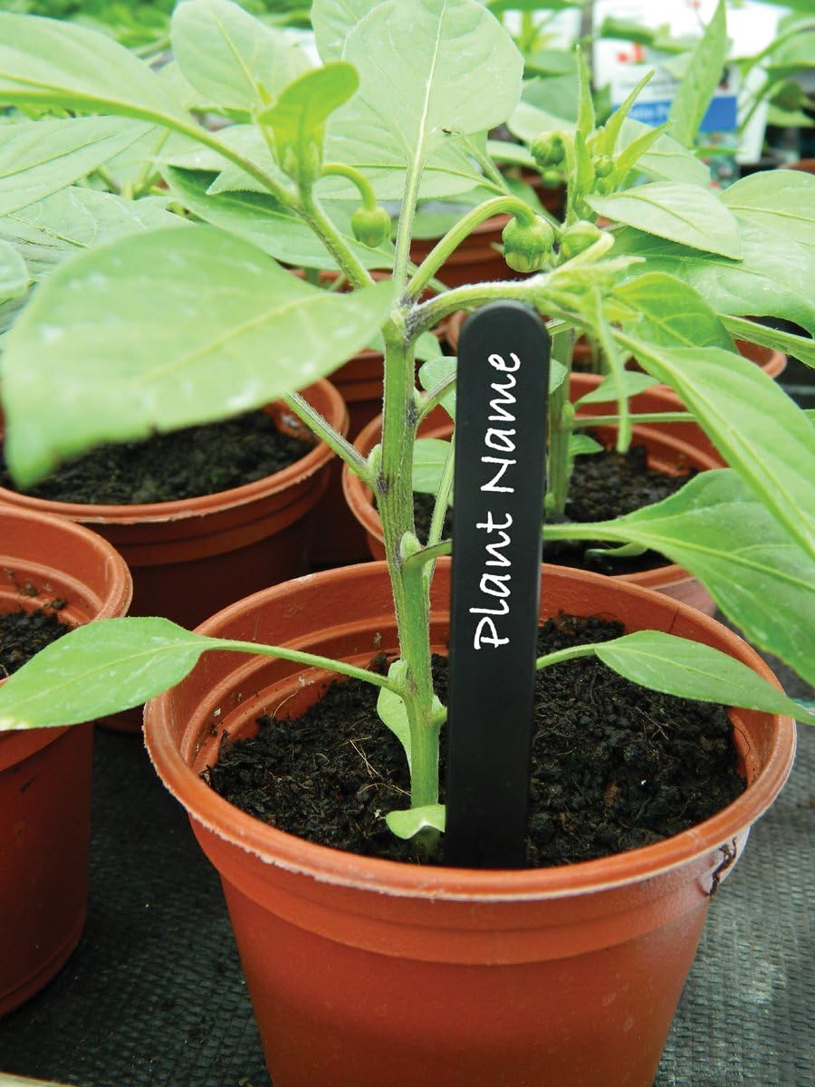 W0877 Garland 15cm (6") Black Plant Labels (50), 6 inches - Image 3