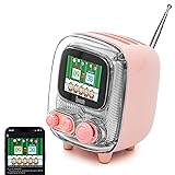 Divoom Tiivoo-2 Retro Bluetooth Speaker with FM