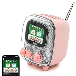 Divoom Tiivoo-2 Retro Bluetooth Speaker with FM