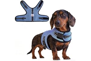 Mini Dachshund Harness Vest, No Pull & No Armpit Rub Dachshund Harness, Escape Proof Adjustable Dog Harness for Walking (Blue