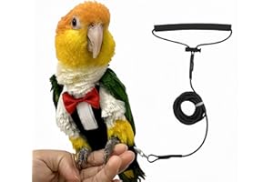 Magnoloran Bird Diapers Bird Harness Tuxedo Flight Suits with 80in Flying Leash Parrot Nappy with Waterproof Inner Layer Urine Wet Suite for Cockatiel Conure Parakeet Macaw Budgie-Black,L