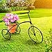 Sorbus Tricycle Plant Stand - Flower Pot Cart Holder - Ideal for Home, Garden, Patio - Great Gift for Plant Lovers, Housewarming, Mother’s Day - Parisian Style (Single Pot, Black)