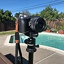 Professional grade solid tripod